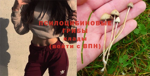 ПСИЛОЦИБИНОВЫЕ ГРИБЫ Волоколамск