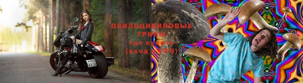 бошки Волосово