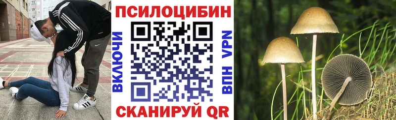 продажа наркотиков  Лысково  Псилоцибиновые грибы мухоморы 